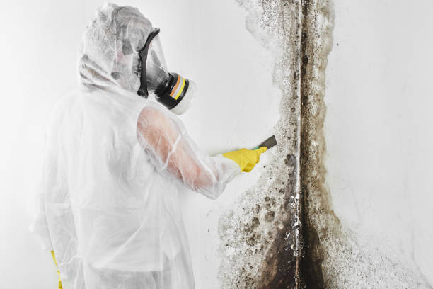 Best Crawl Space Mold Removal  in Governors Clu, NC