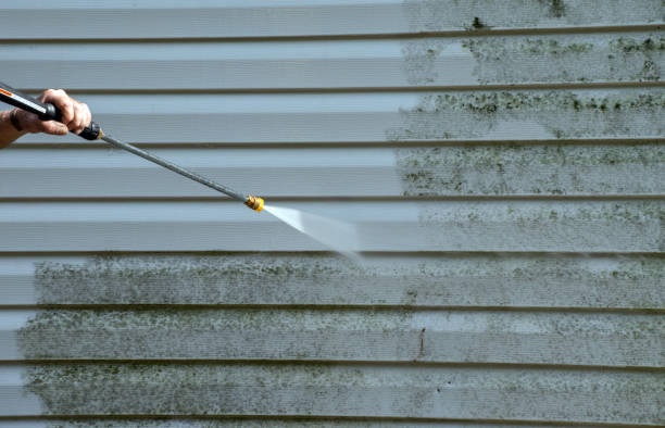 Mold Removal Process in Governors Clu, NC