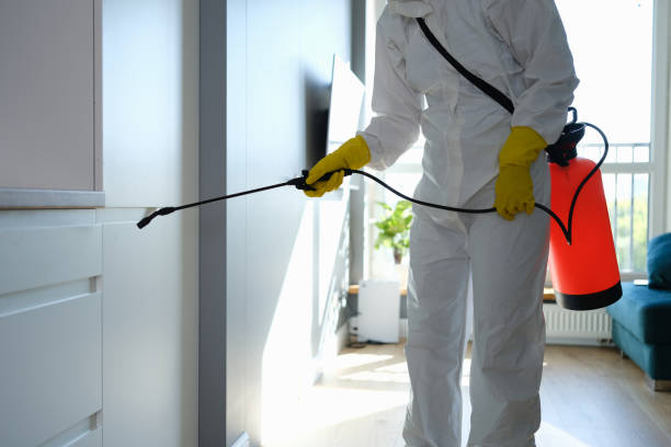 Best Mold Damage Repair  in Governors Clu, NC