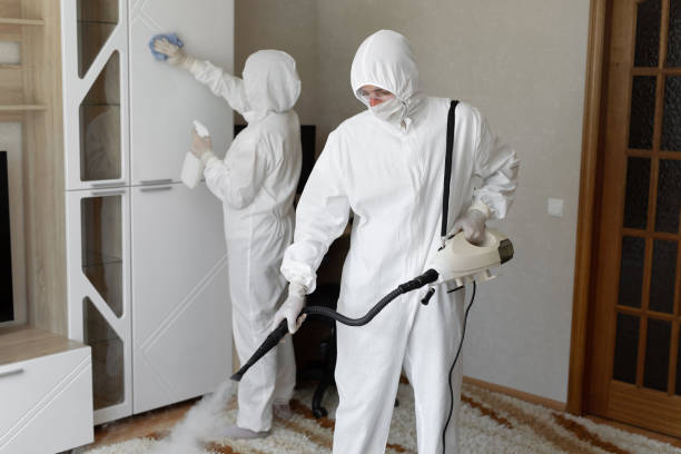 Mold Removal and Inspection in Governors Clu, NC
