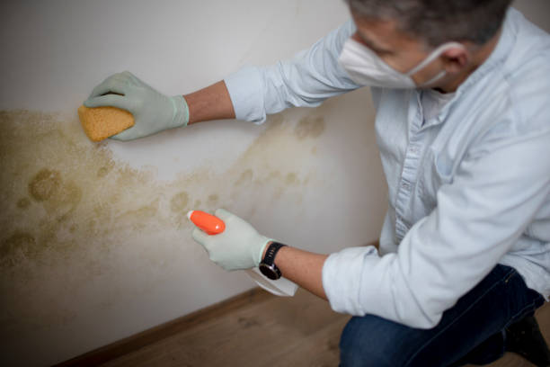 Best Water Damage Restoration  in Governors Clu, NC