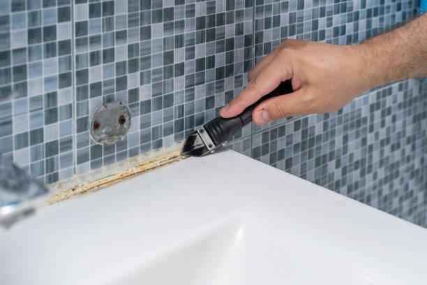 Best Toxic Mold Removal  in Governors Clu, NC