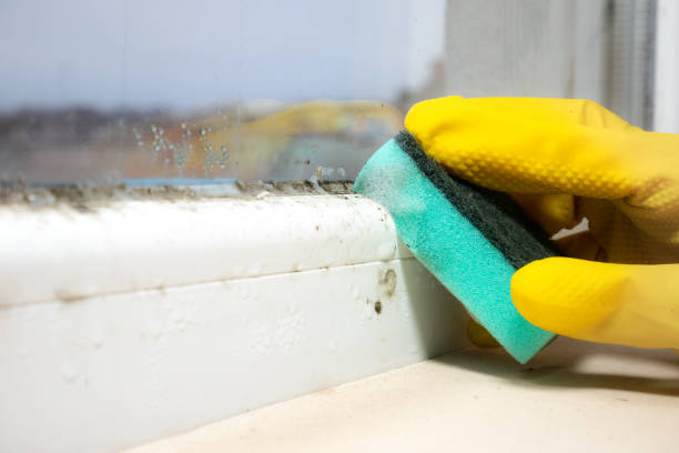 Best Home Mold Removal  in Governors Clu, NC