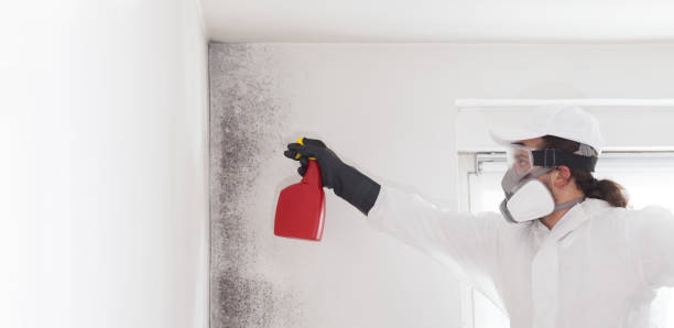 Professional Mold Removal in Governors Clu, NC