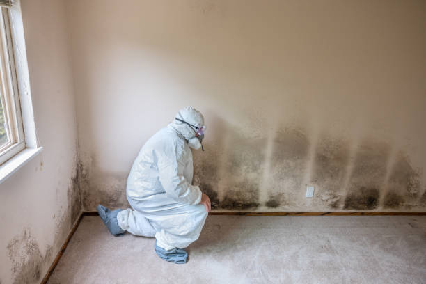 Best Emergency Mold Removal  in Governors Clu, NC