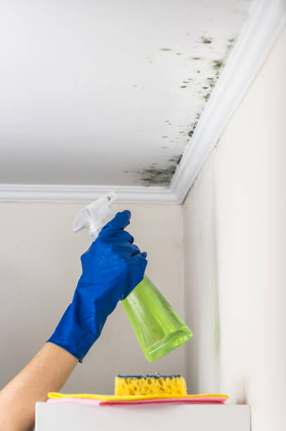 Certified Mold Removal in Governors Clu, NC