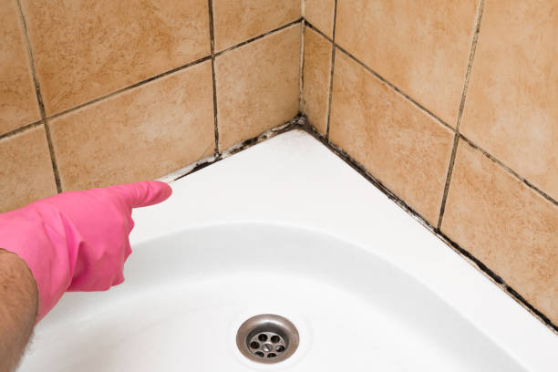 Best Crawl Space Mold Removal  in Governors Clu, NC